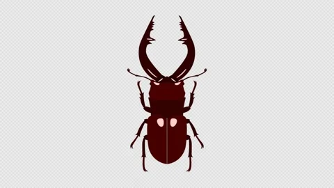 Stylized 2D Japanese Stag Beetle Jaw Action 4K Loop Alpha Stock Footage 339374601