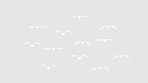 Stylized 2D White Bird Flock Flying 4K Loop Transparent Stock Footage 338167458