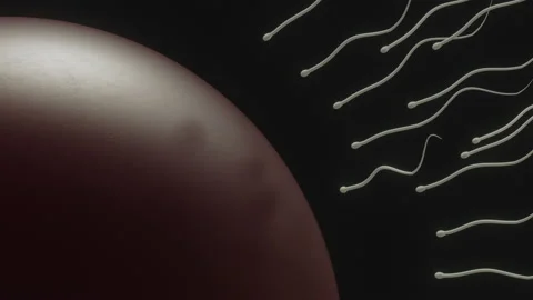 Stylized 3D  animation of Sperm reaching for the egg Stock Footage 150361646