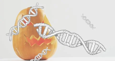 Stylized 3D DNA helices entering from left, drifting across still pumpkin Stock Footage 327199100