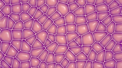 Stylized 3d rendering loop animation of the movement of pink organic cells 4K Stock-Footage 278855629