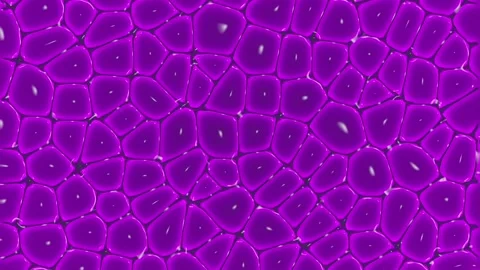 Stylized 3d rendering loop animation of organic cells moving under a microscope Stock Footage 281547266