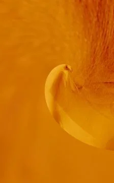 Stylized act Stock Photos