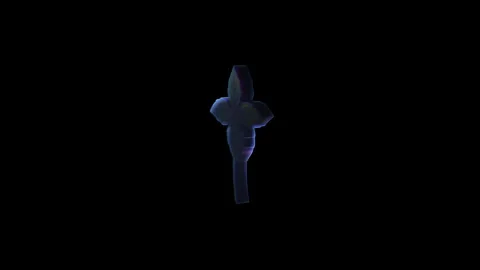 Stylized alien plant rotating in darkness Stock Footage 329682019