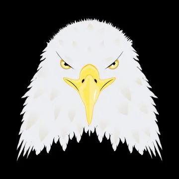 Stylized bald eagle head Stock Illustration