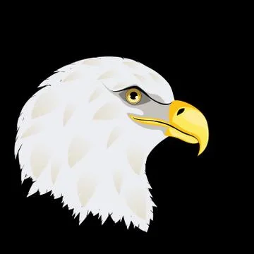 Stylized bald eagle head Stock Illustration