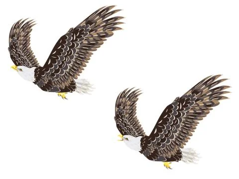 Stylized bald eagle 스톡 일러스트