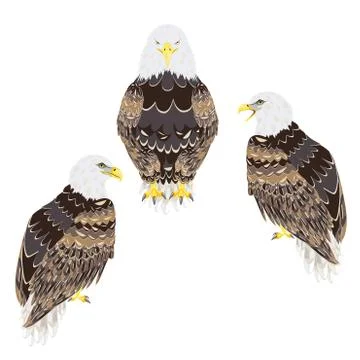 Stylized bald eagle Stock Illustration