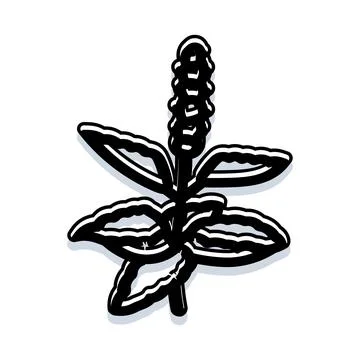 Stylized basil herb plant icon illustration Stock Illustration