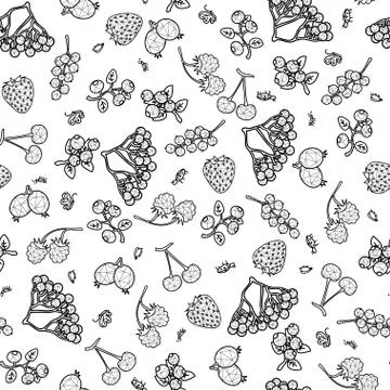 Stylized berries seamless pattern on white background Stock Illustration