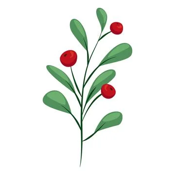 Stylized berry branch vector element for winter decor Stock Illustration