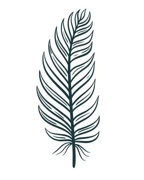 Stylized bird feather isolated vector illustration Illustrazione stock