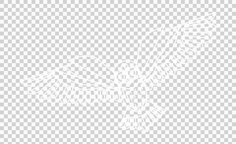Stylized bird is flying with flat vector line art wings and hatch marks on Stock Illustration