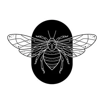 Stylized black and white bee in arch shape frame. Hand drawn line art ornated Stock Illustration
