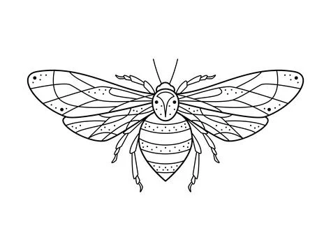 Stylized black and white bee. Hand drawn line art ornated vector illustration Stock Illustration