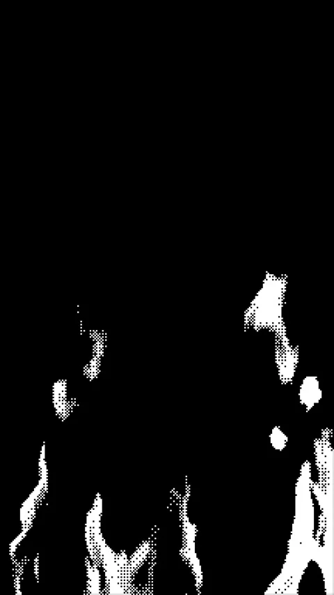 Stylized black and white fire animation with dithering bitmap effect. Stock Footage 308097242