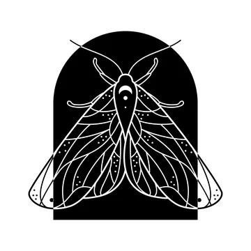 Stylized black and white moth in arch shape frame. Hand drawn line art ornate Stock Illustration