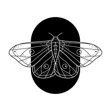 Stylized black and white moth in arch shape frame. Hand drawn line art ornate Stock Illustration