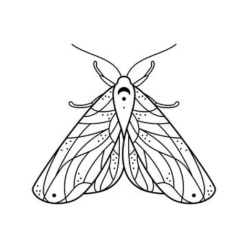 Stylized black and white moth. Hand drawn line art ornated vector illustratio Stock Illustration