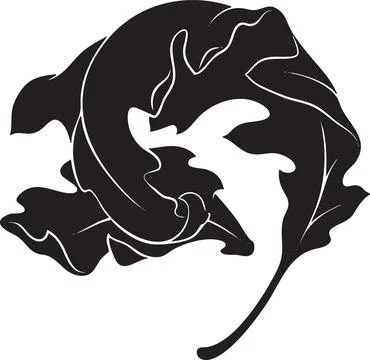 Stylized Black and White Oak Leaf Vector Illustration Ilustración de archivo