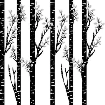 Stylized black birch on white background Stock Illustration