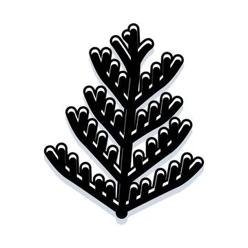 Stylized black evergreen conifer branch illustration Stock Illustration