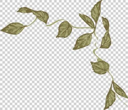 Stylized botanic vine branch is extending in flat design with olive leaves, Stock Illustration