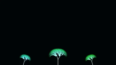 Stylized botanical tree elements on black seamless background for motion gr.. Stock Footage 336836758