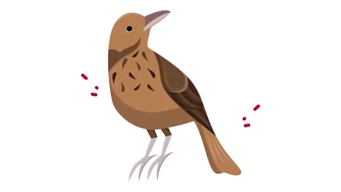 Stylized Brown Bird Icon Vector Illustration Isolated on Plain White Background Stock Footage 345826438