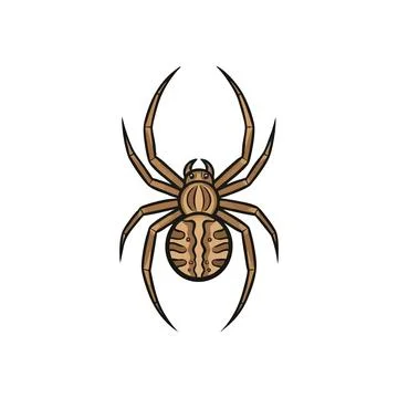 Stylized Brown Spider on Dark Ground. Intricate arachnid artwork on a sombe.. Stock Illustration