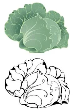 Stylized cabbage Illustrazione stock