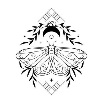 Stylized celestial illustration of night moth, moon and florals. Line art but Stock Illustration