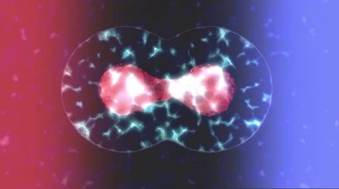 Stylized cells splitting, dividing and multiplying 스톡 동영상 58578817