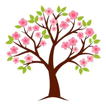 Stylized Cherry Blossom Tree Illustration on White Stock Illustration