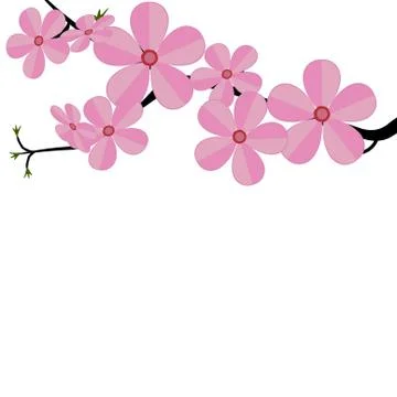 Stylized cherry Japan cherry branch with blooming flowers illustration Stock Illustration