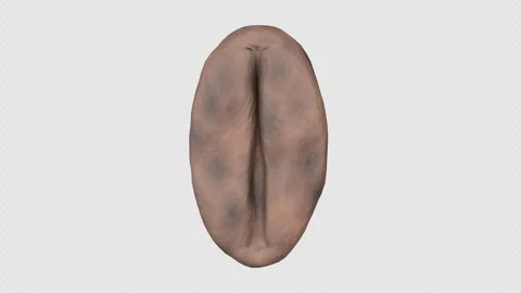 Stylized Coffee Bean Rotating on a Transparent Background. Seamless Loop. 4K Stock Footage 303269559