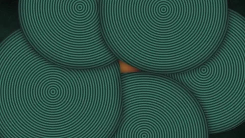 Stylized concentric vinyl rings rotate in a seamless loop 動画素材 341666115