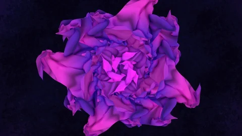 Stylized continuous blooming purple and pink flower Stock Footage 129723480