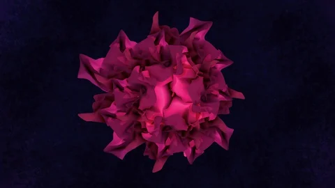 Stylized continuous blooming rose flower Stockbeeldmateriaal 129723526