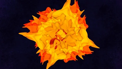 Stylized continuous blooming yellow and orange flower Stock Footage 129723500