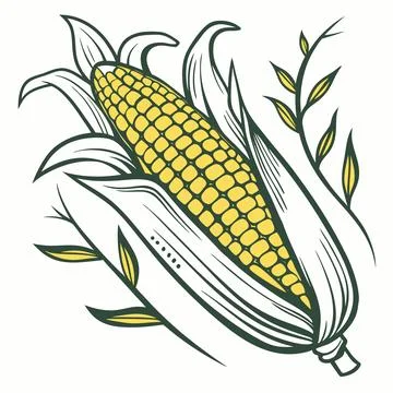 Stylized Corn Cob Vegetable Vector Art Illustration Stock Illustration
