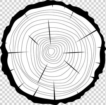 A stylized cross-section of a tree trunk showcases the rings and cracks on .. 스톡 일러스트