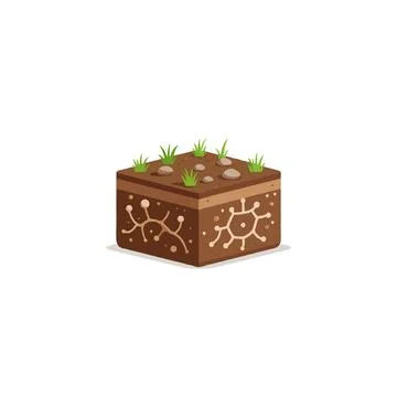 Stylized cubed soil section revealing subsurface networks and surface veget.. Stock Illustration