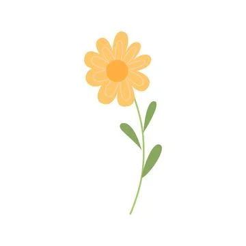 Stylized daisy flower on white background. botanical clipart Stock Illustration