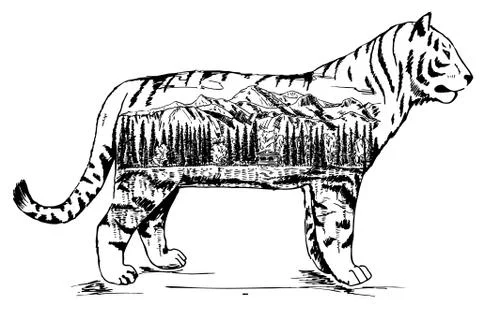 Stylized decorative tiger vector ink hand drawn illustration Stock Illustration