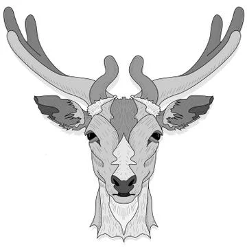 Stylized deer head vector monochrome  illustration isolated on white backgrou Stock Illustration