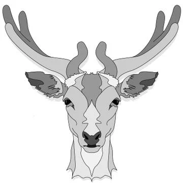 Stylized deer head vector monochrome  illustration isolated on white backgrou Stock Illustration