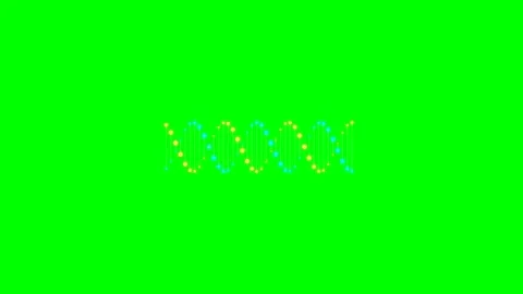 A stylized digital dna double helix rotating on a bright green background Stock Footage 340267217
