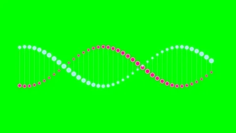 A stylized digital illustration of a dna double helix strand on green Stock Footage 340266244