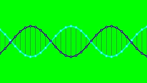 A stylized digital illustration of a dna double helix strand on green screen Vídeos de archivo 341838957